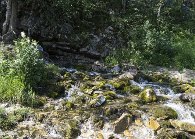 Грифон Таравал. Фотография 2