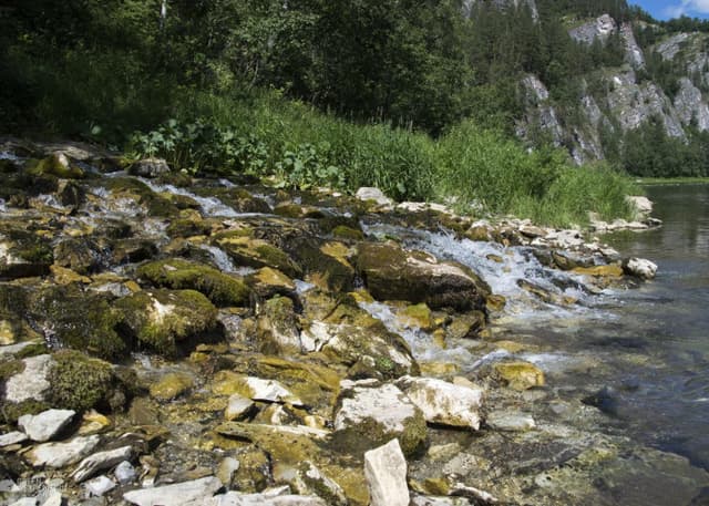 Грифон Таравал. Фотография 1