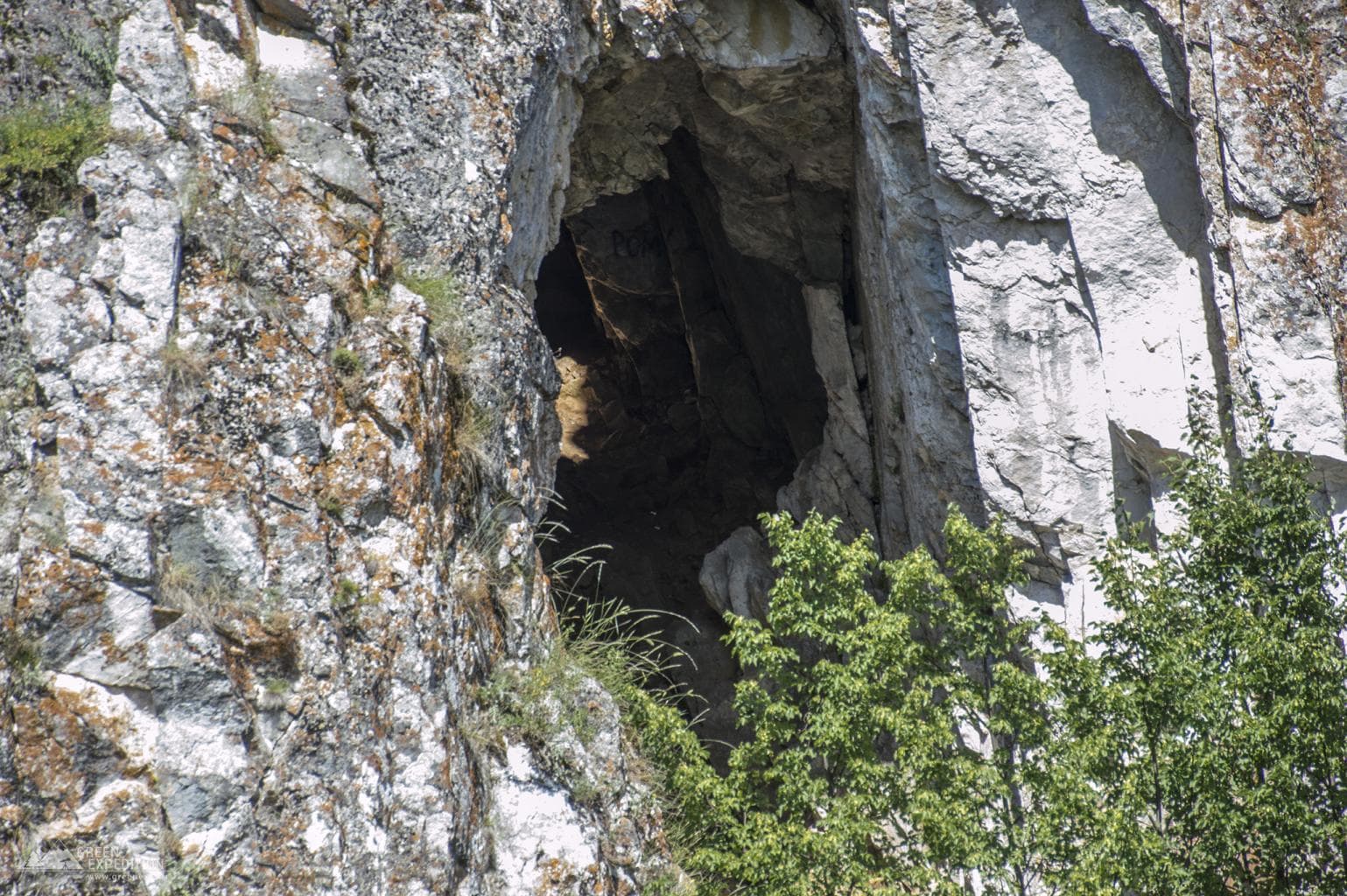 Mole Cave — photo 1