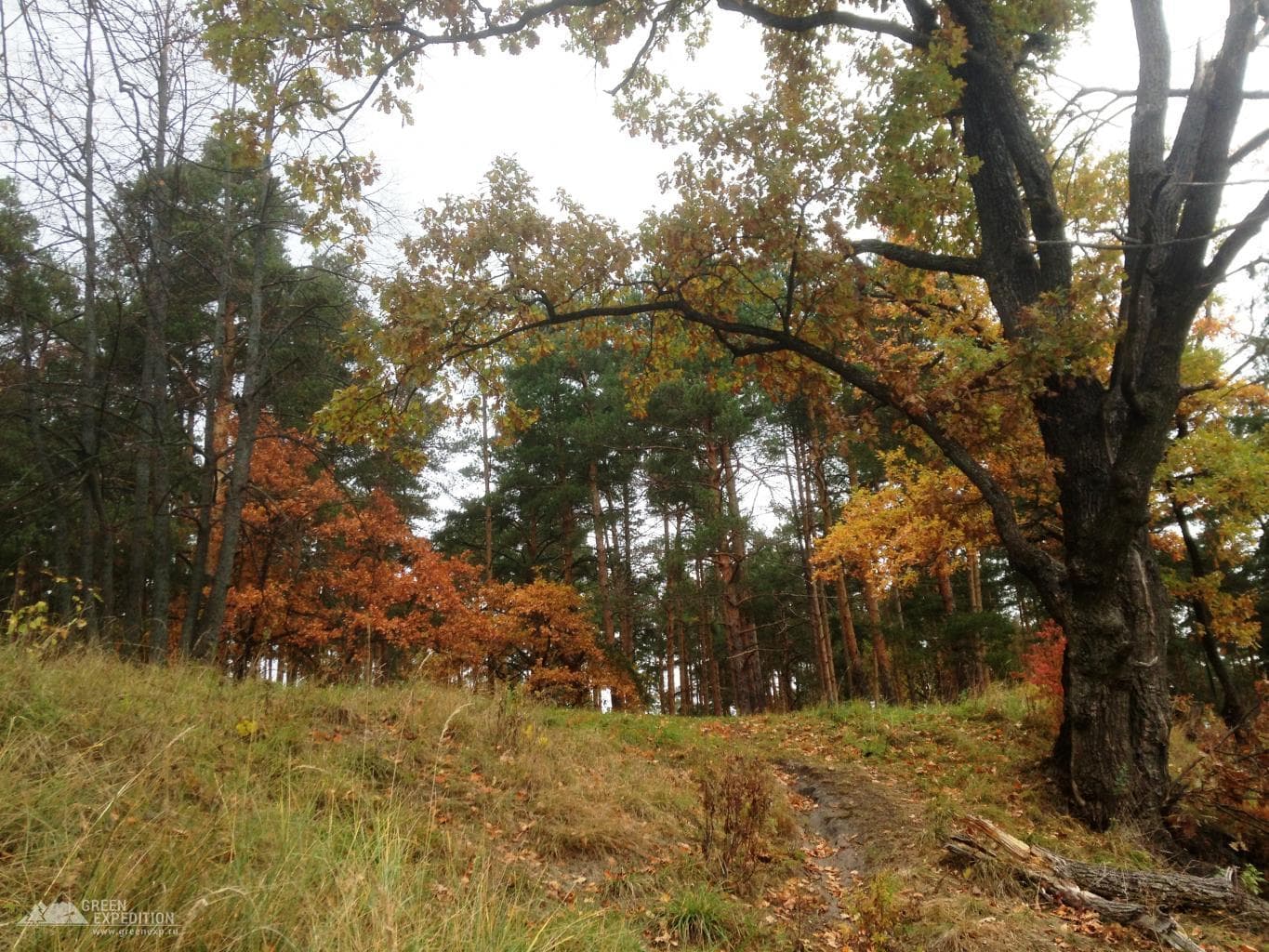 Spring on the Yellow Mountain — photo 3