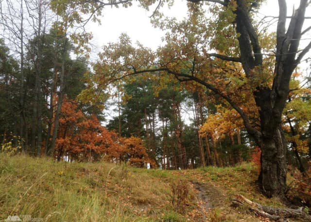 Родники за "Карболитом". Фотография 3