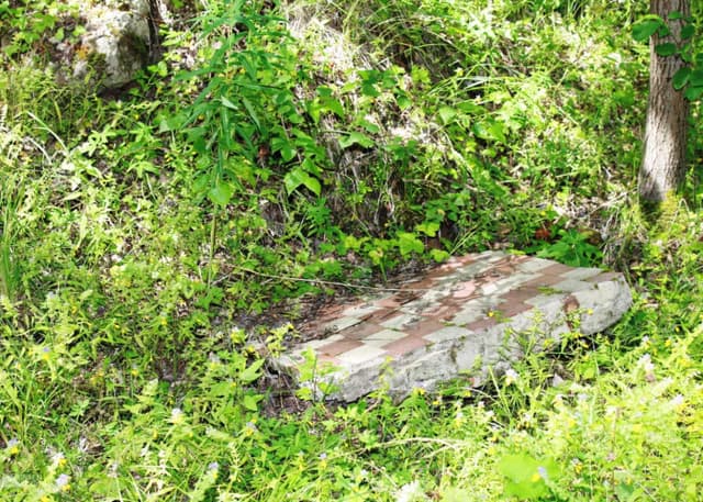 Бывший ДОЛ "Березка". Фотография 2