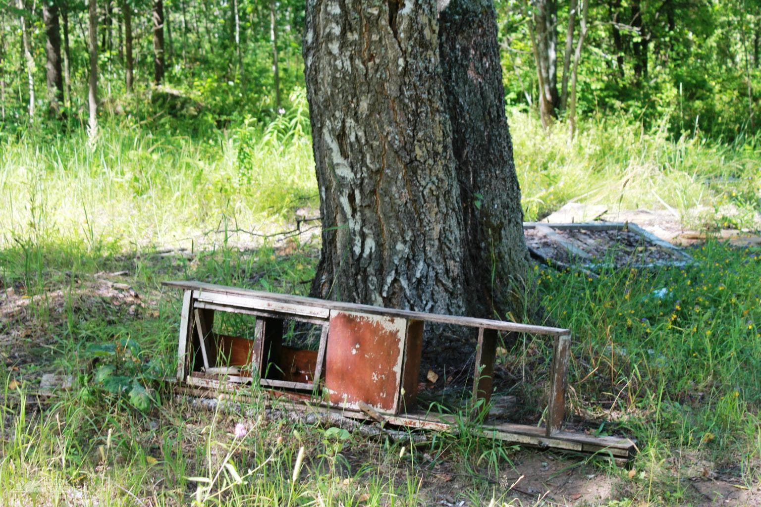 Бывший ДОЛ "Березка" — photo 1