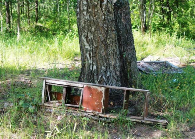Бывший ДОЛ "Березка". Фотография 1