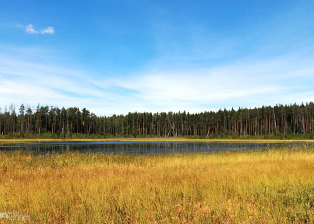 Озеро "Мертвое". Фотография 5