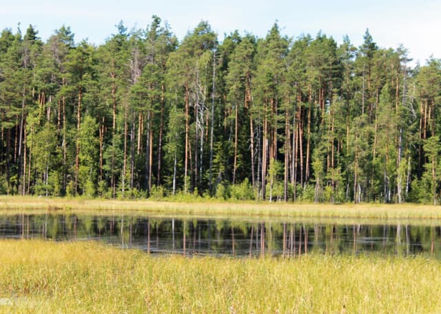 Озеро "Мертвое". Фотография 3