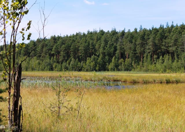 Озеро "Мертвое". Фотография 1