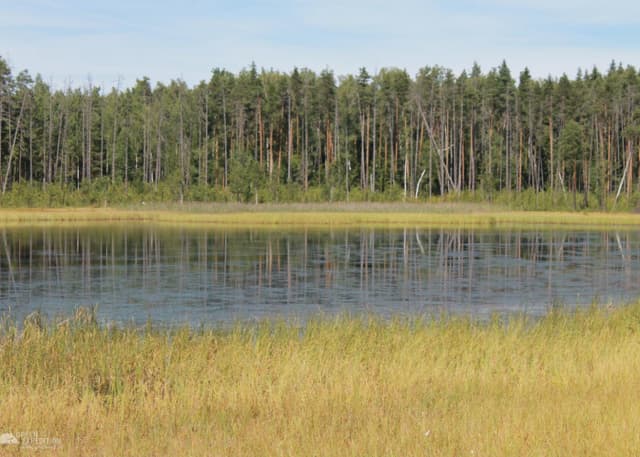 Озеро "Мертвое". Фотография 2