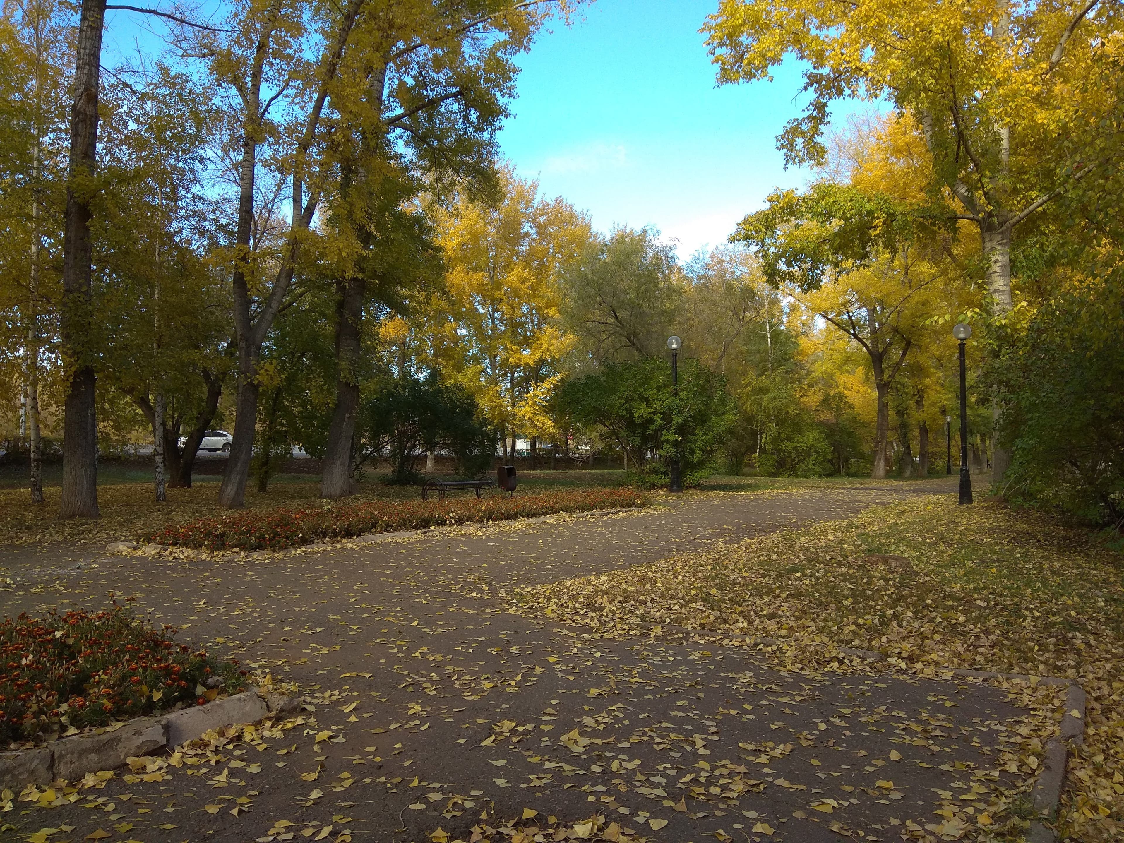 Guskova Park — photo 1