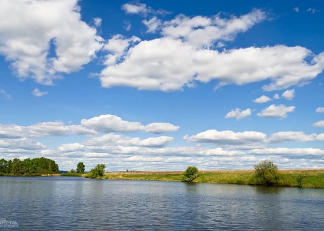 Кузьминовский пруд. Фотография 1