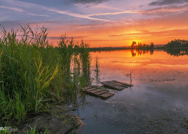 Татьяновский пруд. Фотография 2