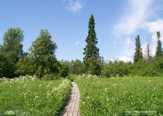 Национальный парк Зюраткуль. Фотография 2