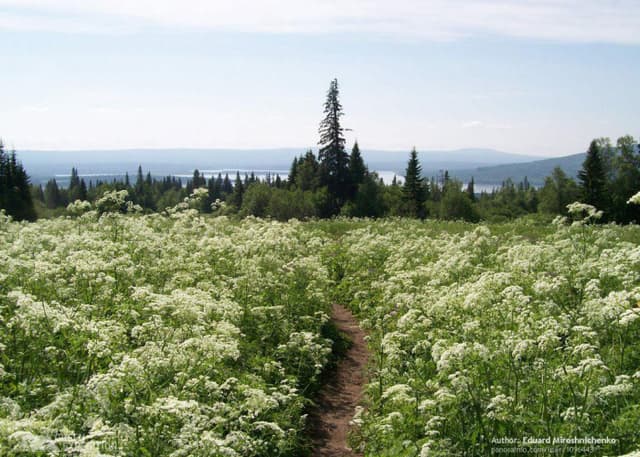 Национальный парк Зюраткуль. Фотография 3