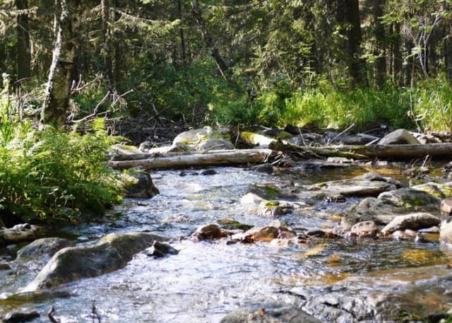 Переправа через Карагайку. Фотография 3