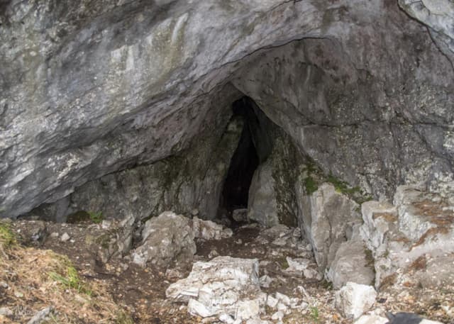 Пещера Ледовая. Фотография 5