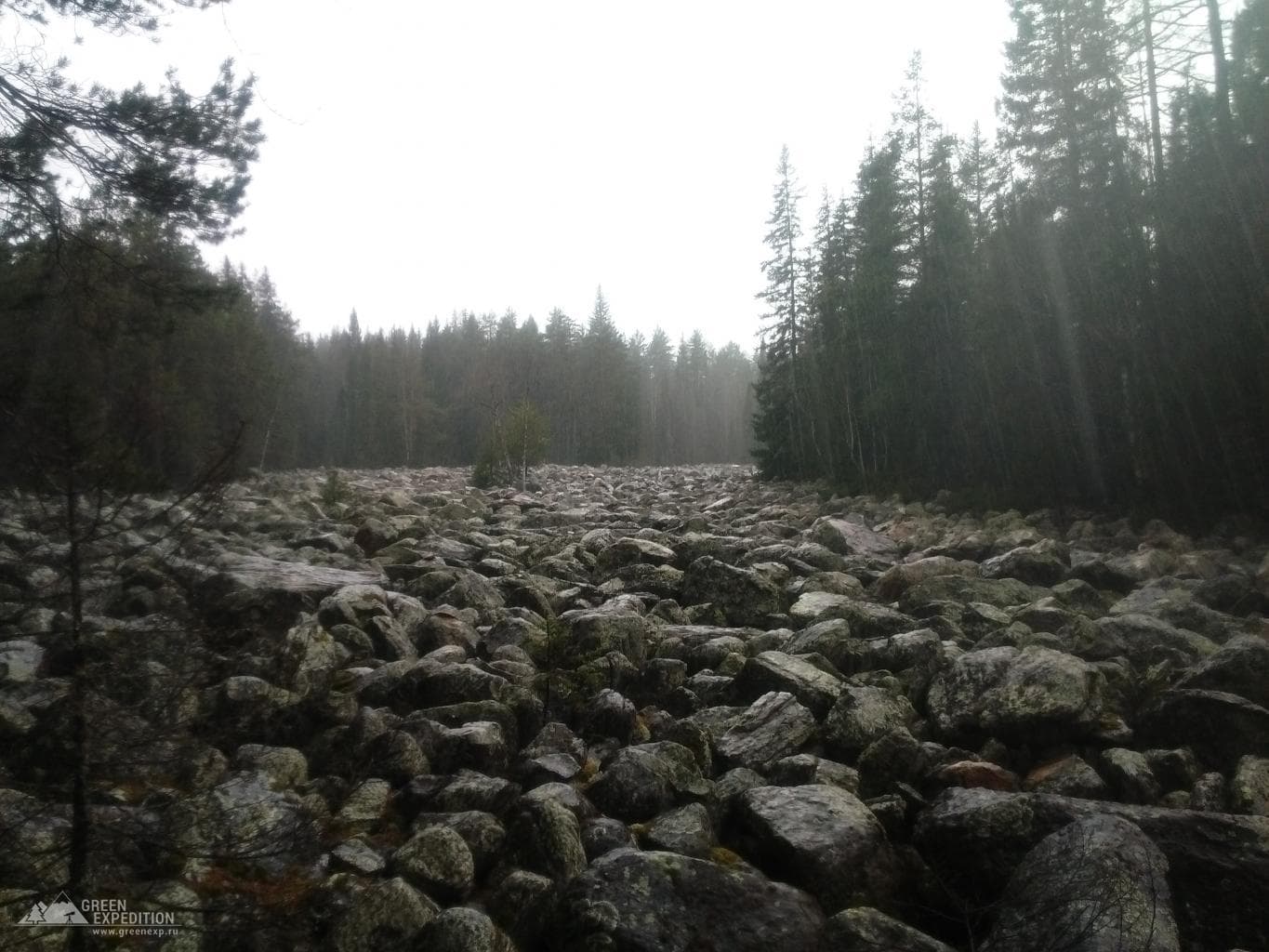 Каменная река (Курум) — фотография 4