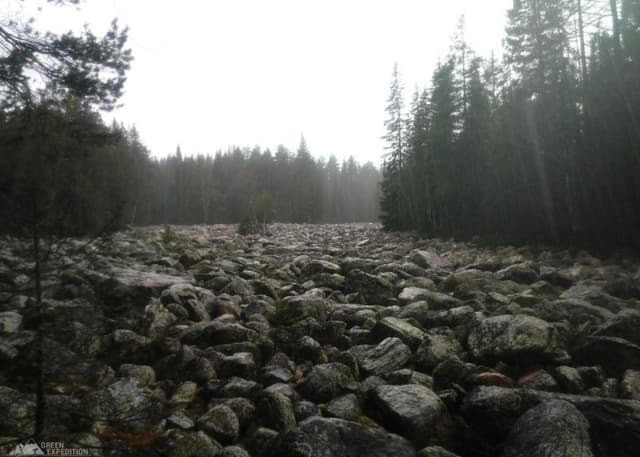 Каменная река, Курум. Фотография 4