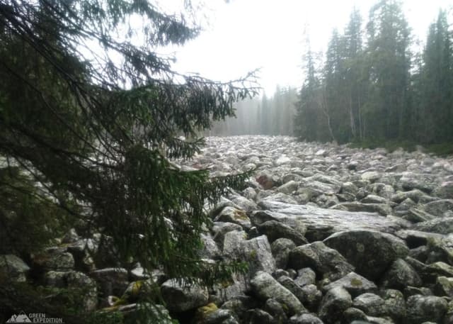 Каменная река, Курум. Фотография 3