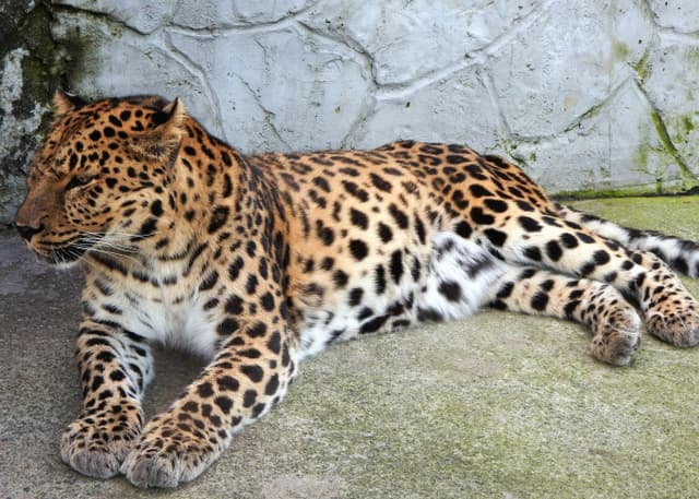 Челябинский зоопарк. Фотография 6