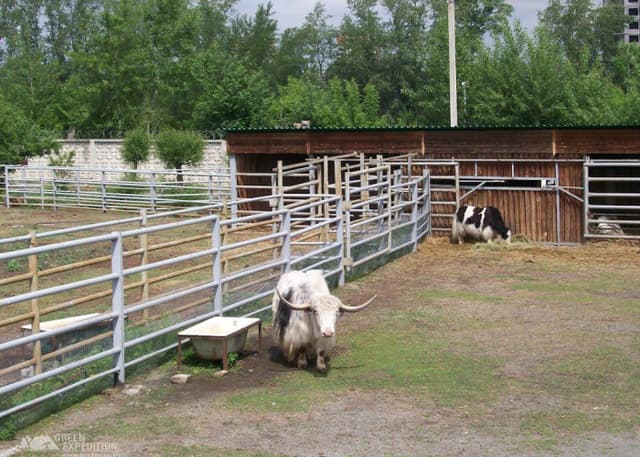 Челябинский зоопарк. Фотография 4