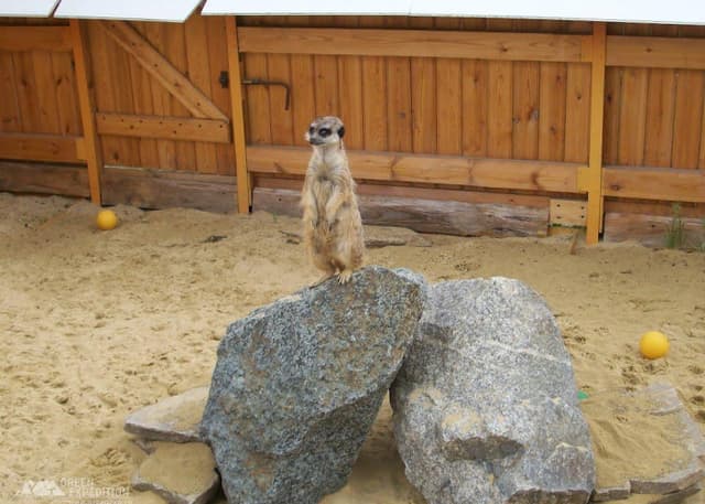 Челябинский зоопарк. Фотография 8