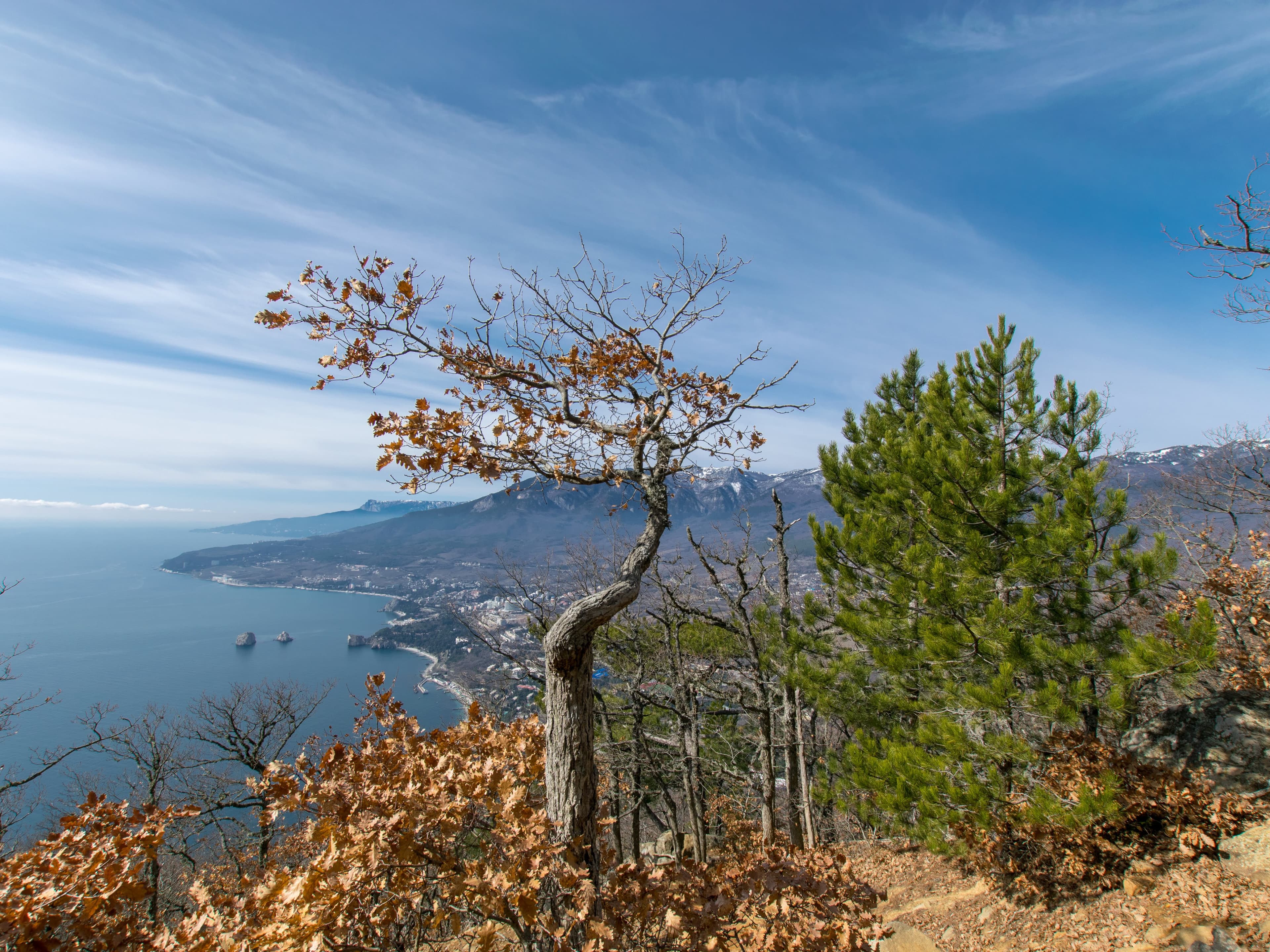 Mount Ayu-Dag — photo 3