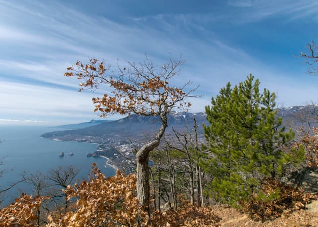 Гора Аю-Даг. Фотография 4