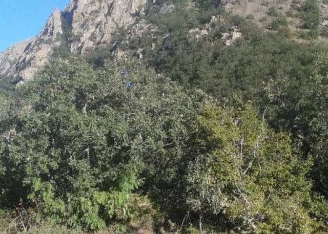 Аю-Даг. Фотография 5