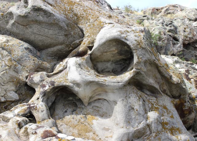 Камышинские уши. Фотография 4