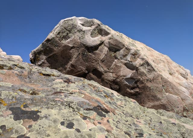 Камышинские уши. Фотография 3