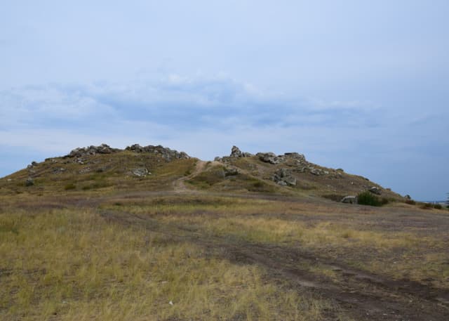 Камышинские уши. Фотография 1