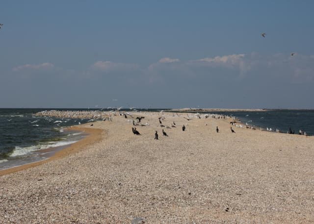 Долгая коса. Фотография 2