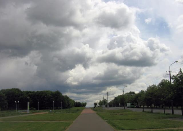 Курасовщинский парк. Фотография 2