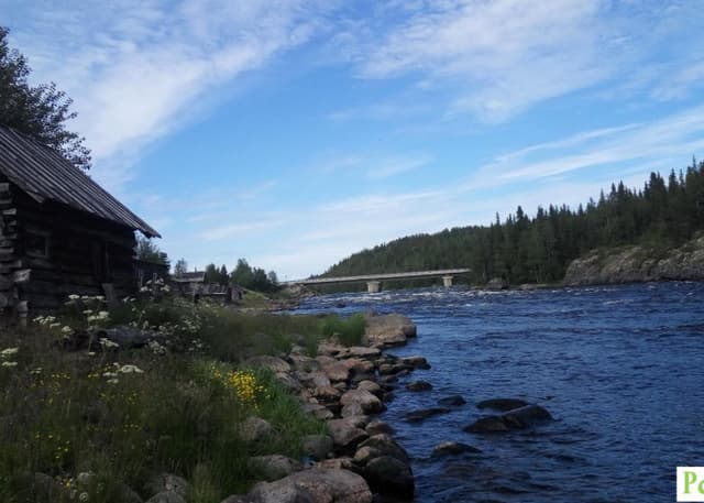 Умба. Фотография 4