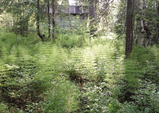 Колвица. Фотография 4