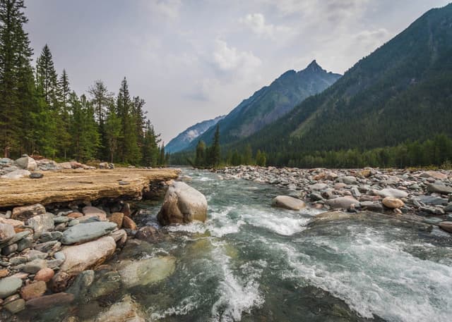 Шумакские минеральные источники. Фотография 24