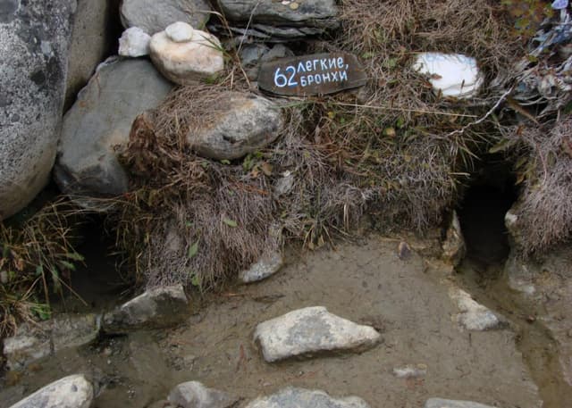 Шумакские минеральные источники. Фотография 6