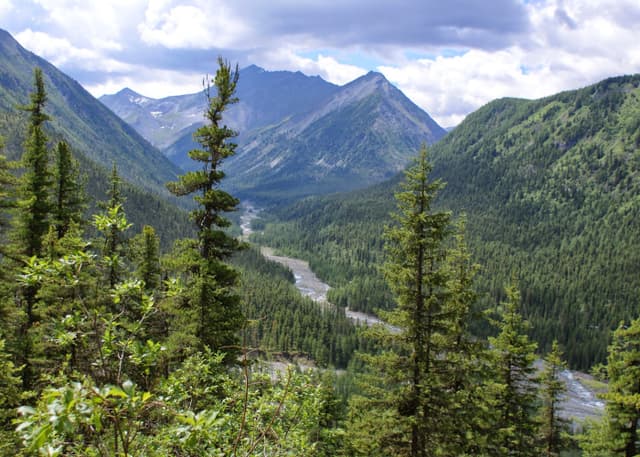 Туристическая база Шумак. Фотография 21