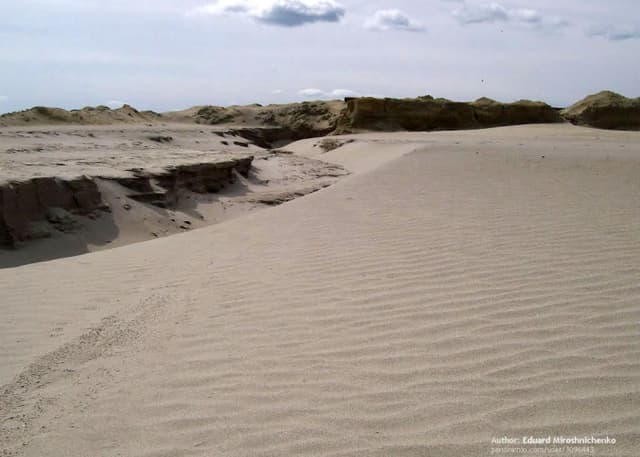 Рукотворная пустыня. Фотография 2