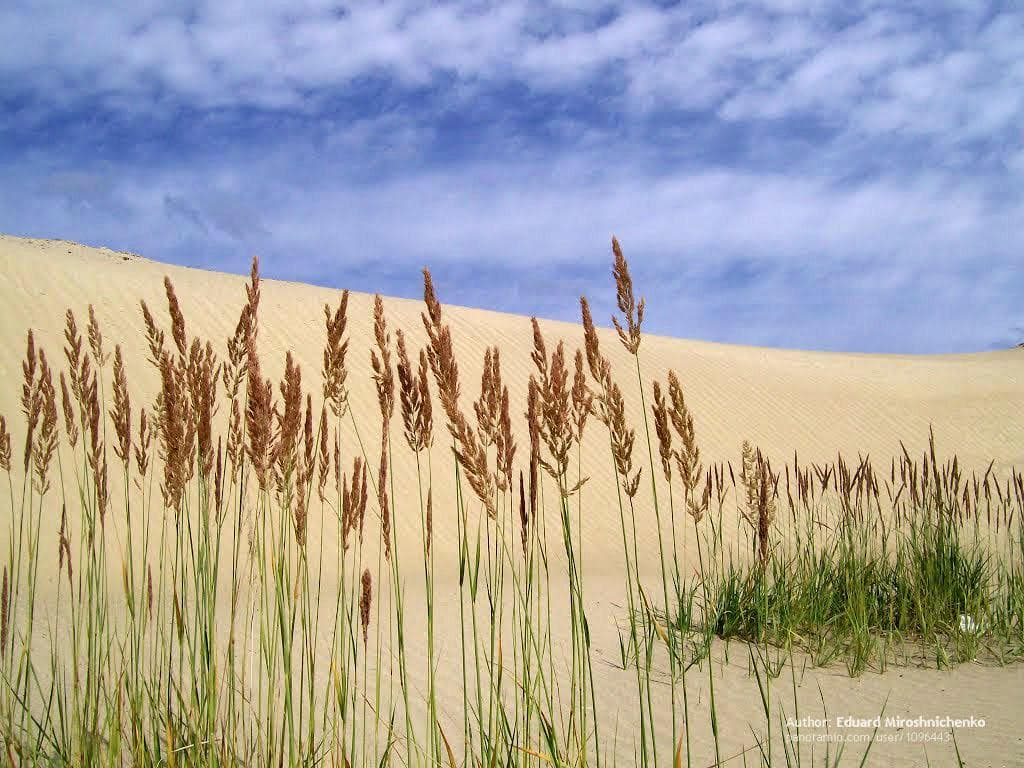 Man-made Ural desert — photo 1