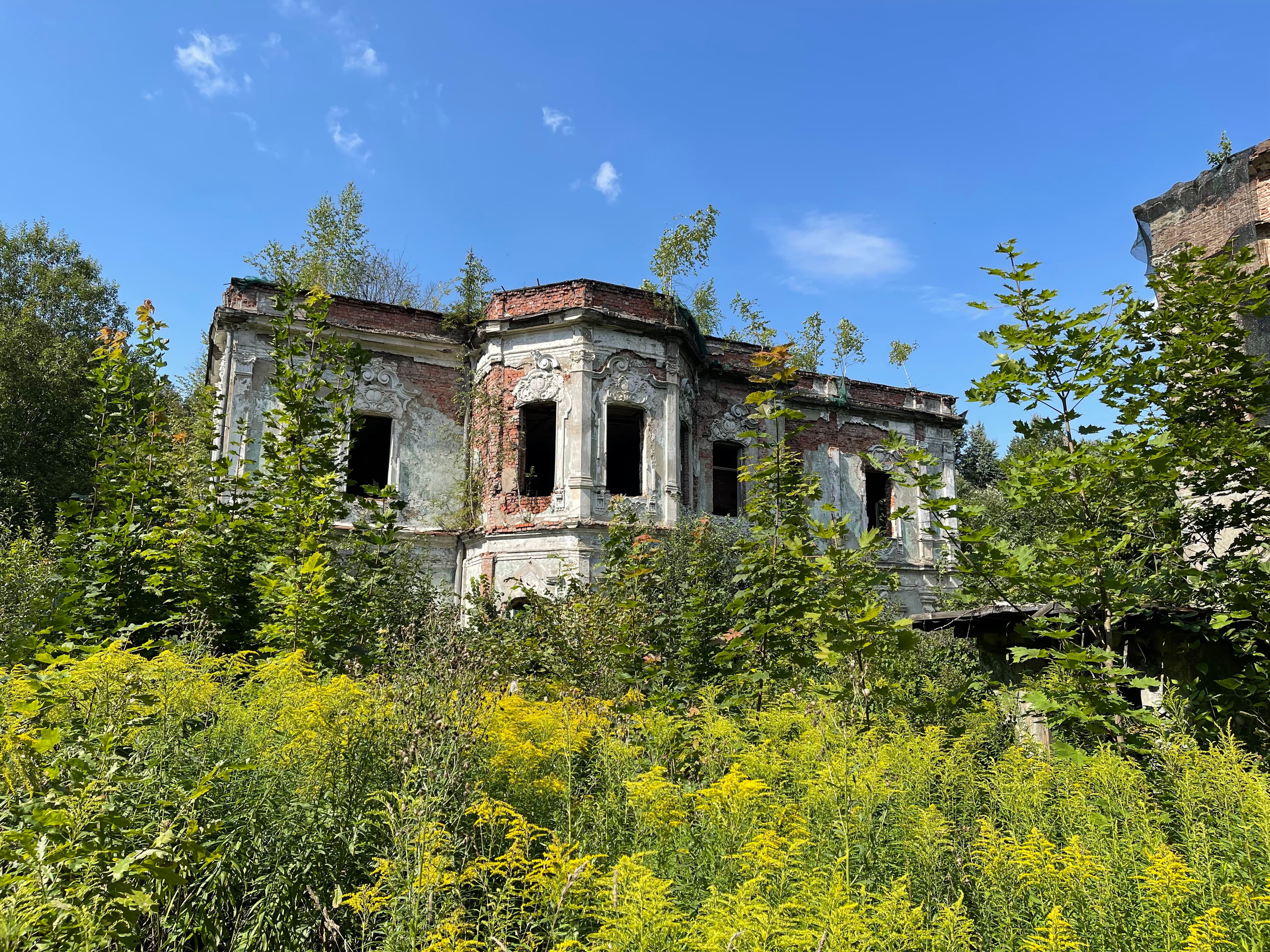 Estate Nikolskoye-Prozorovskoye — photo 1