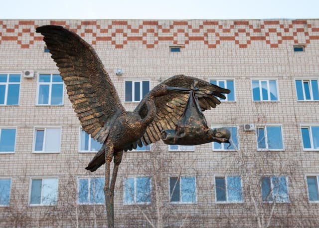 Аист с младенцем. Фотография 31