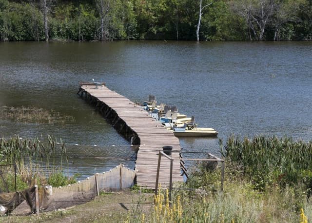 Саринский пруд. Фотография 2