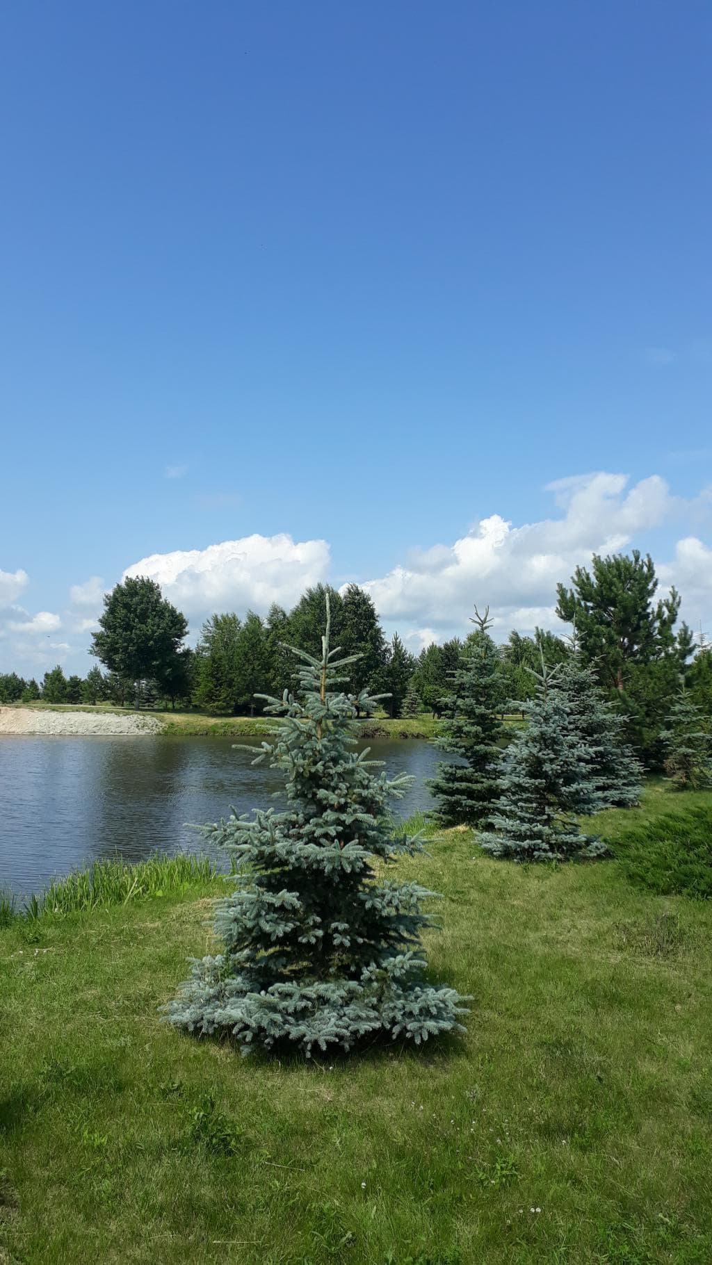 Luna Landscape Park (Orenburg Oblast) — photo 4
