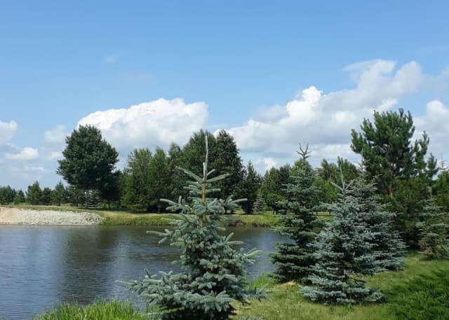 Ландшафтный парк. Фотография 4