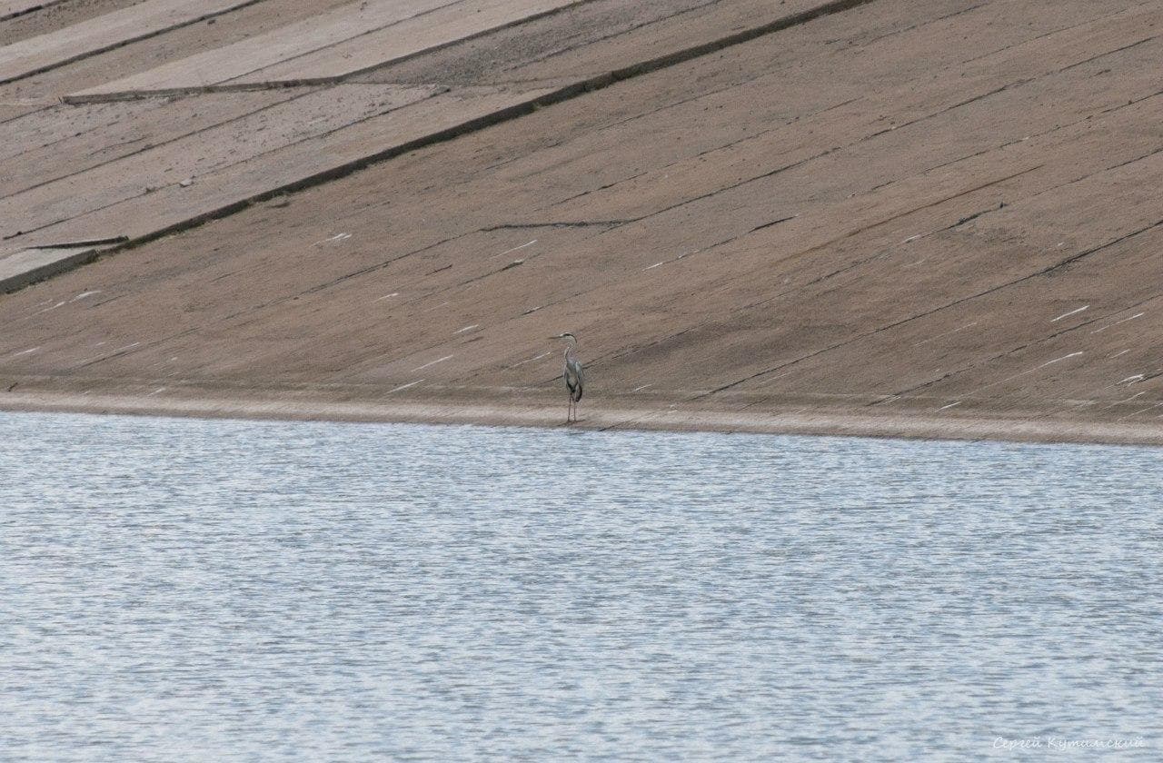 Sorochinskoye Reservoir — photo 3