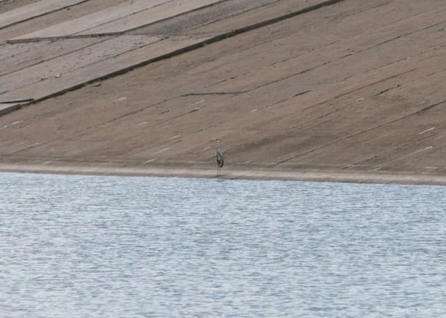 Сорочинское водохранилище. Фотография 3