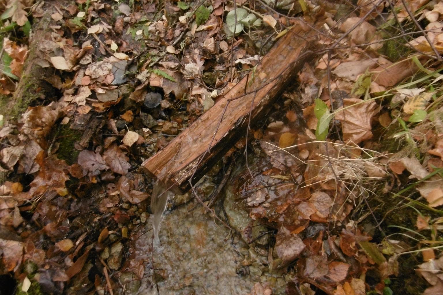 Spring at the Lyamzyai site — photo 1