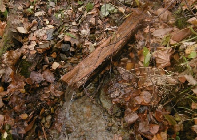 Родник на стоянке "Лямзяй". Фотография 11