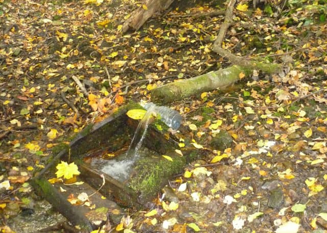 Родник у бухты Лямзяй. Фотография 1